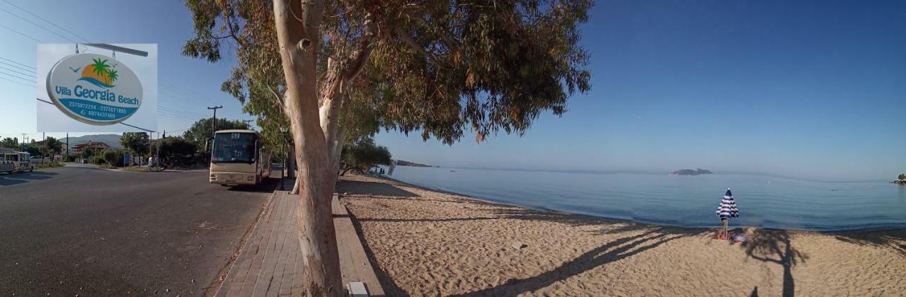 Villa Georgia Beach 네오스마르마라스 외부 사진